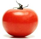 lycopene tomato prostate cancer